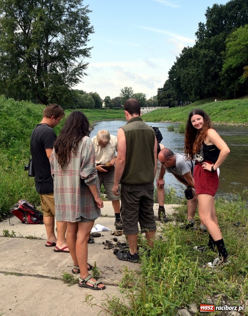 Zdjęcie w galerii na portalu naszraciborz.pl: Czesi przeszukali koryto starej Odry w Raciborzu [FOTO] wiadomości z regionu
