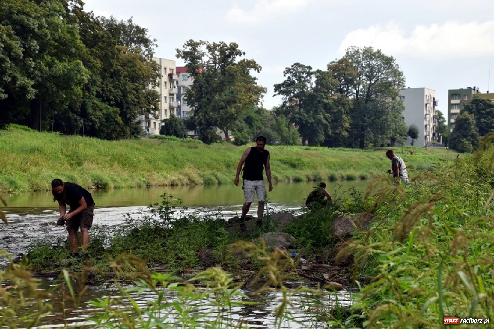 Zdjęcie w galerii na portalu naszraciborz.pl: Czesi przeszukali koryto starej Odry w Raciborzu [FOTO] wiadomości z regionu