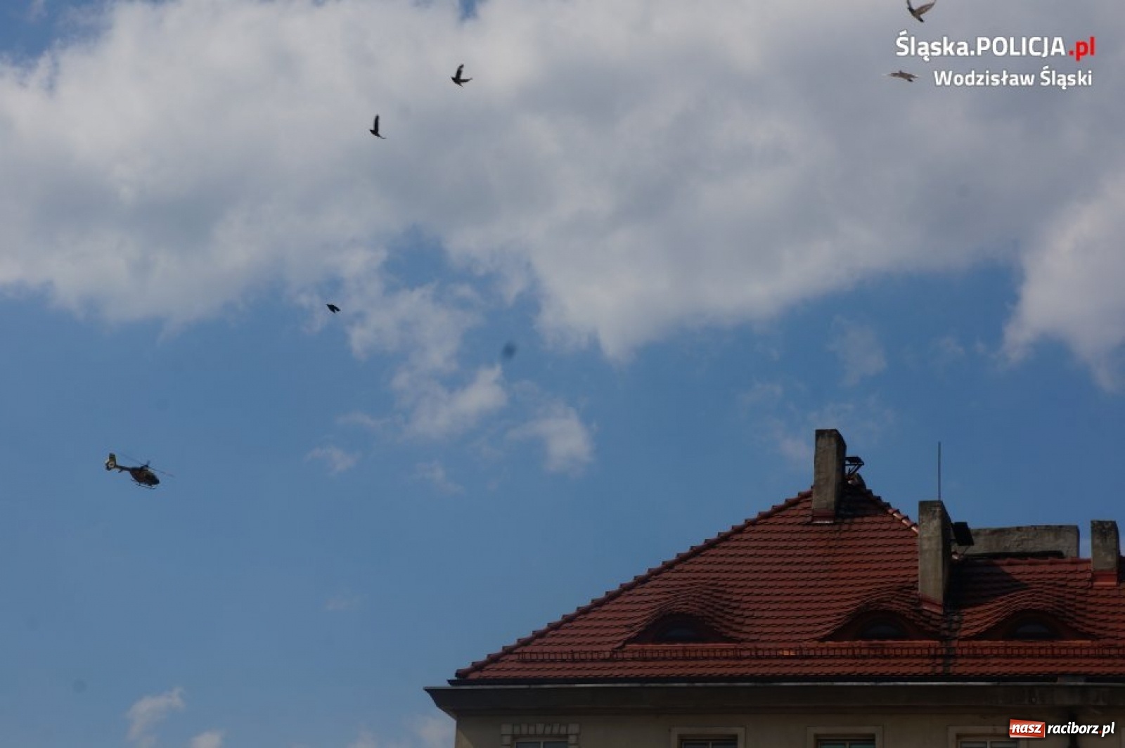 Zdjęcie w galerii na portalu naszraciborz.pl:  Tak runęło rusztowanie w Wodzisławiu Śląskim. Moment katastrofy w monitoringu [WIDEO]  wiadomości z regionu