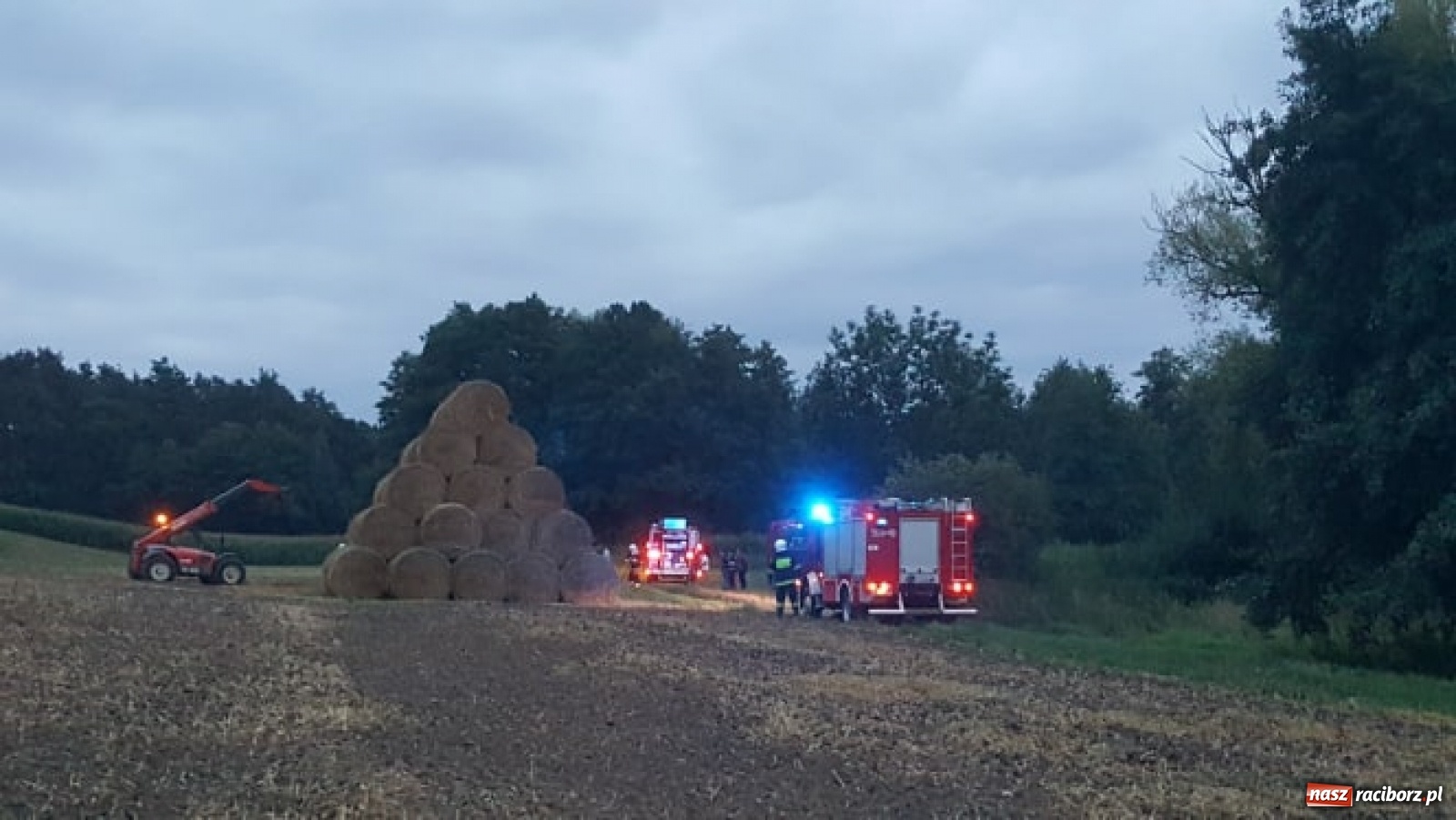 Zdjęcie w galerii na portalu naszraciborz.pl: Akcja straży i policji na Mariańskiej-Kopernika. Podpalenie na granicy Bolesławia i Tworkowa [FOTO] wiadomości z regionu