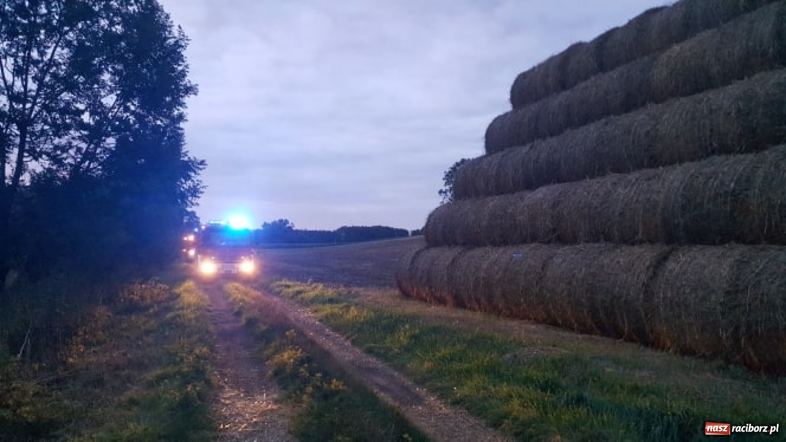 Zdjęcie w galerii na portalu naszraciborz.pl: Akcja straży i policji na Mariańskiej-Kopernika. Podpalenie na granicy Bolesławia i Tworkowa [FOTO] wiadomości z regionu