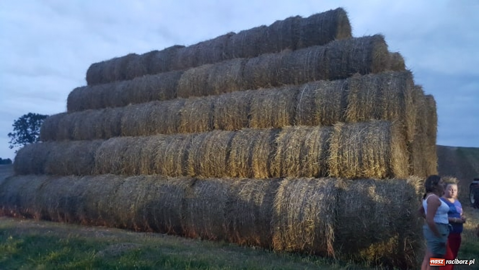 Zdjęcie w galerii na portalu naszraciborz.pl: Akcja straży i policji na Mariańskiej-Kopernika. Podpalenie na granicy Bolesławia i Tworkowa [FOTO] wiadomości z regionu