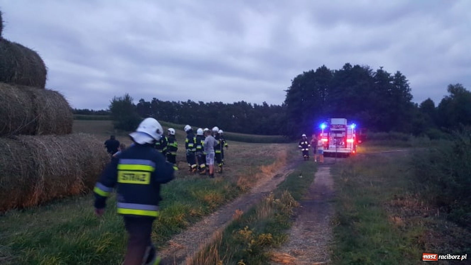 Zdjęcie w galerii na portalu naszraciborz.pl: Akcja straży i policji na Mariańskiej-Kopernika. Podpalenie na granicy Bolesławia i Tworkowa [FOTO] wiadomości z regionu