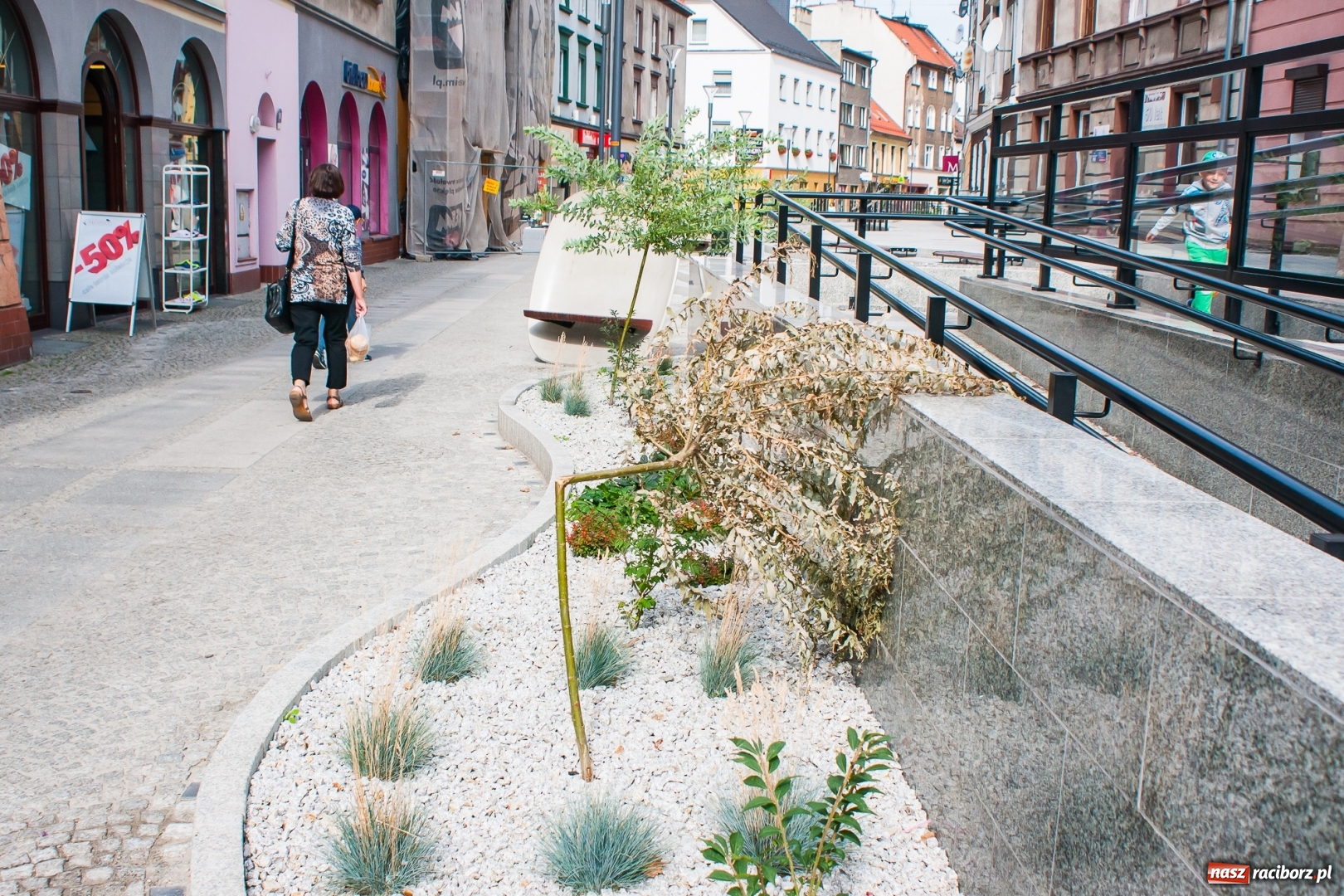 Zdjęcie w galerii na portalu naszraciborz.pl: Serce radnego Wacławczyka zaczęło krwawić  wiadomości z regionu