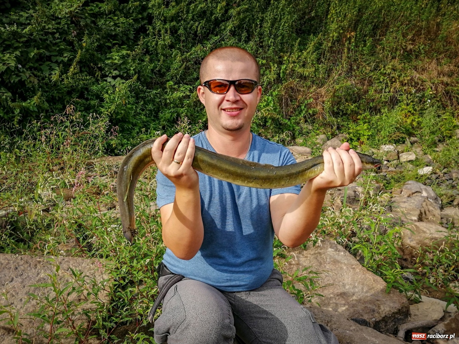 Zdjęcie w galerii na portalu naszraciborz.pl: Piękny okaz węgorza złowiony w miejskiej Odrze [FOTO] wiadomości z regionu