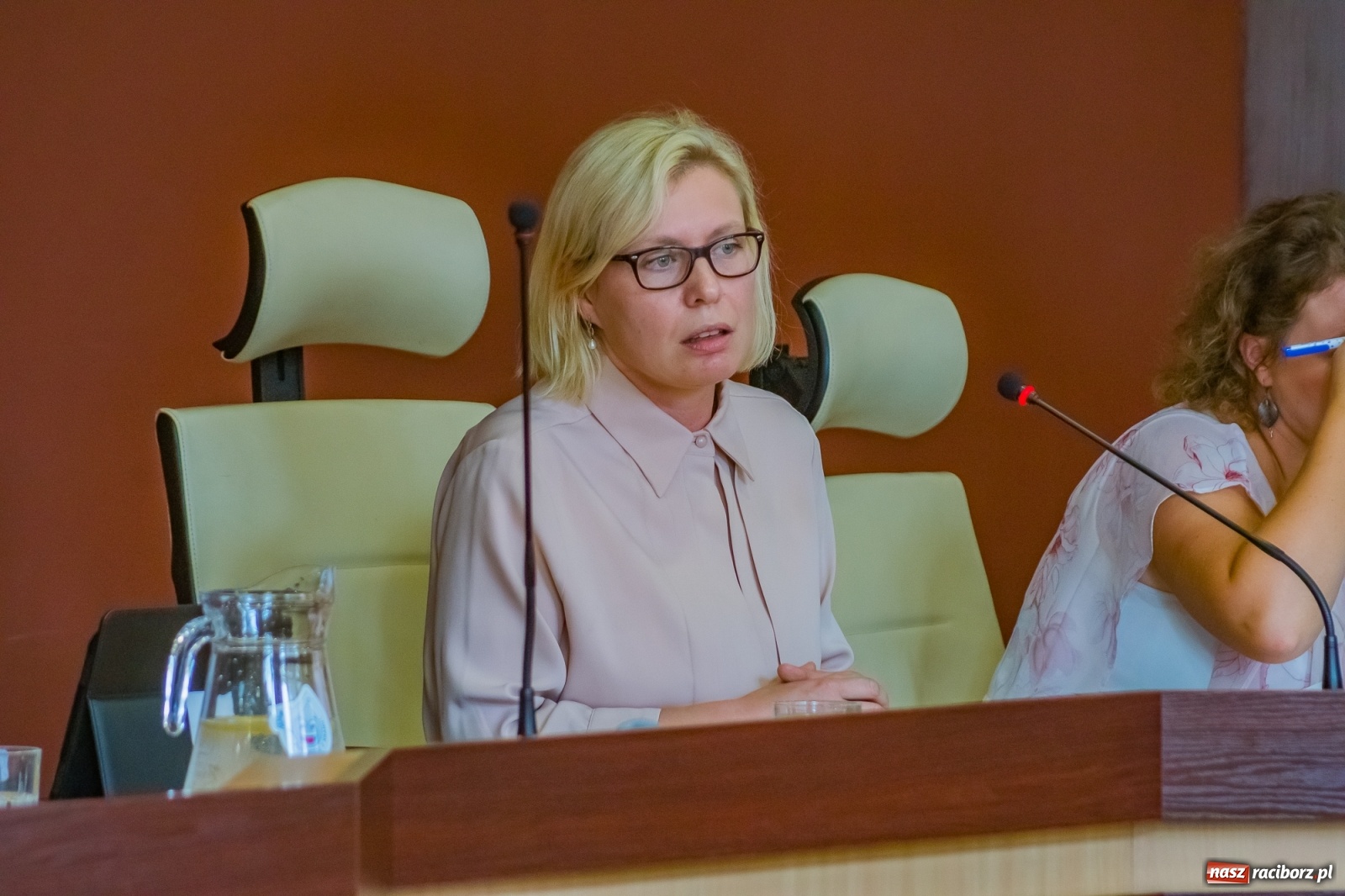 Zdjęcie w galerii na portalu naszraciborz.pl: Elektromobilność, głazy i czeskie partnerstwo  wiadomości z regionu