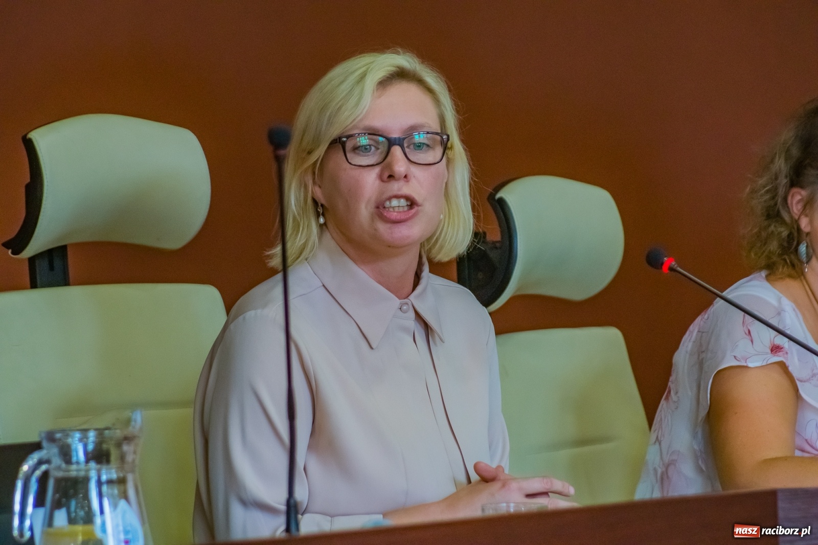 Zdjęcie w galerii na portalu naszraciborz.pl: Elektromobilność, głazy i czeskie partnerstwo  wiadomości z regionu