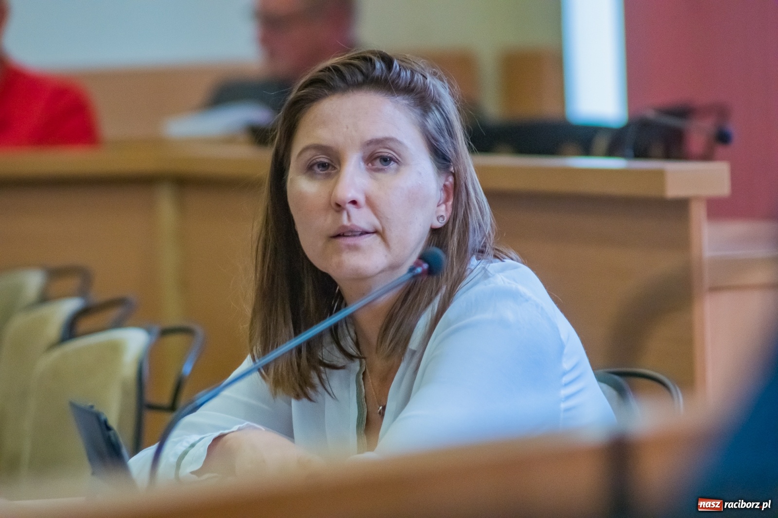 Zdjęcie w galerii na portalu naszraciborz.pl: Elektromobilność, głazy i czeskie partnerstwo  wiadomości z regionu