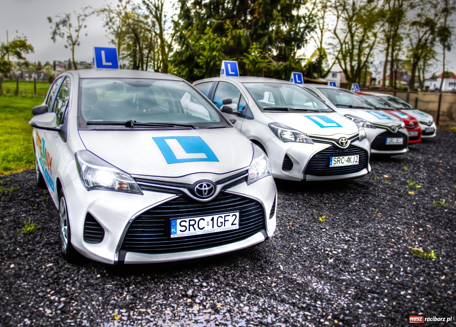 Zdjęcie w galerii na portalu naszraciborz.pl: Zdaj prawo jazdy za 1. Razem w OSK Istelny wiadomości z regionu