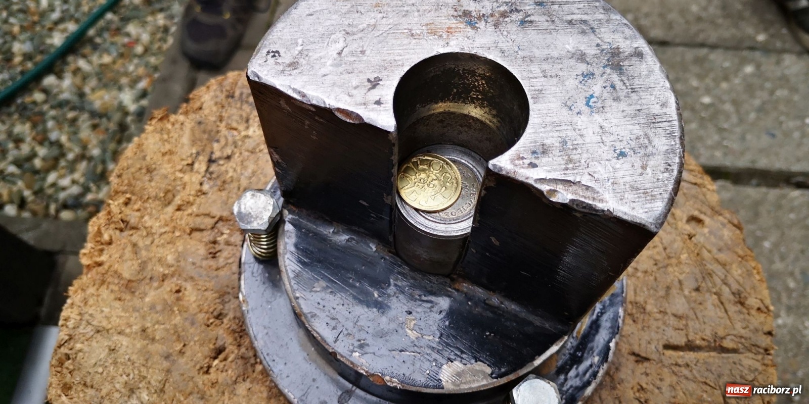 Zdjęcie w galerii na portalu naszraciborz.pl: Wakacyjny czwartek z historią w Krzanowicach [FOTO] wiadomości z regionu