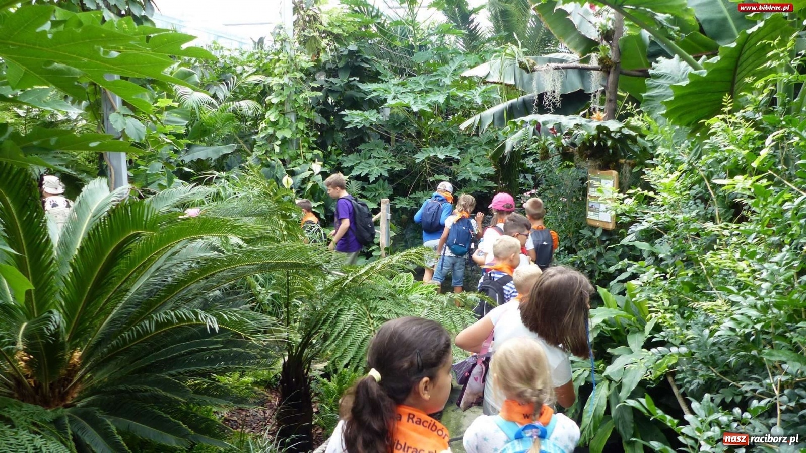 Zdjęcie w galerii na portalu naszraciborz.pl: Młodzi raciborzanie oko w oko z dzikimi zwierzętami wiadomości z regionu