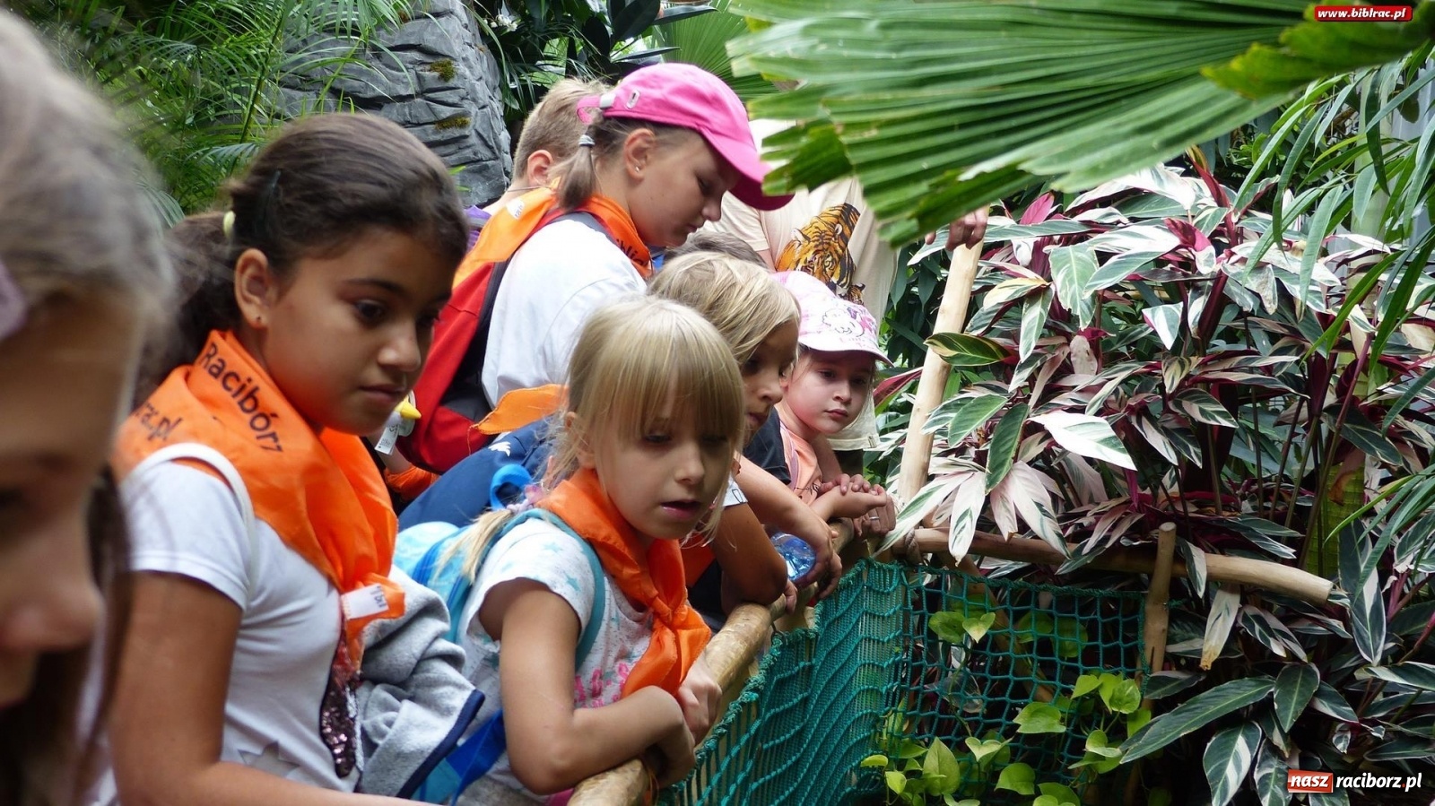 Zdjęcie w galerii na portalu naszraciborz.pl: Młodzi raciborzanie oko w oko z dzikimi zwierzętami wiadomości z regionu