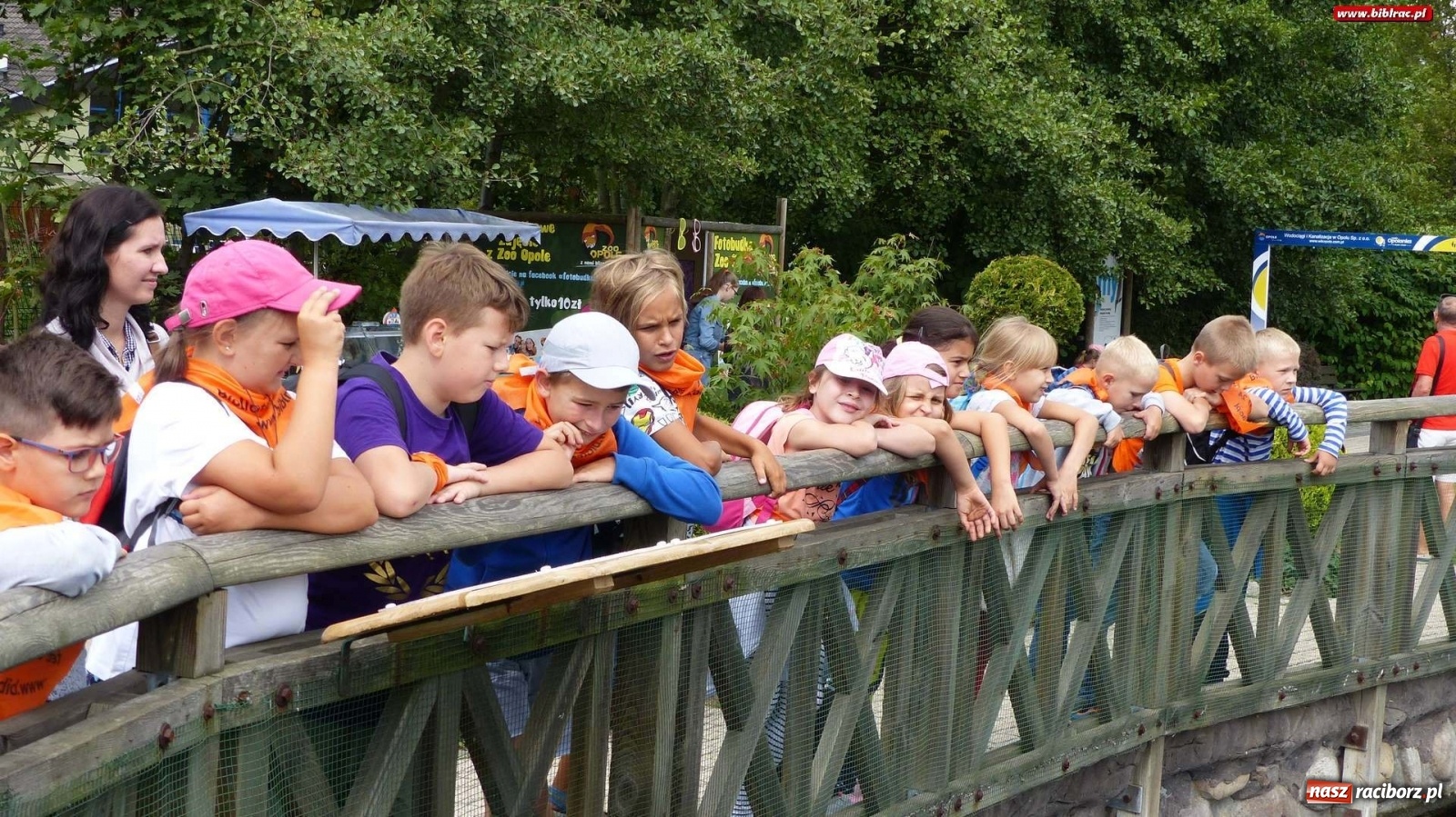 Zdjęcie w galerii na portalu naszraciborz.pl: Młodzi raciborzanie oko w oko z dzikimi zwierzętami wiadomości z regionu