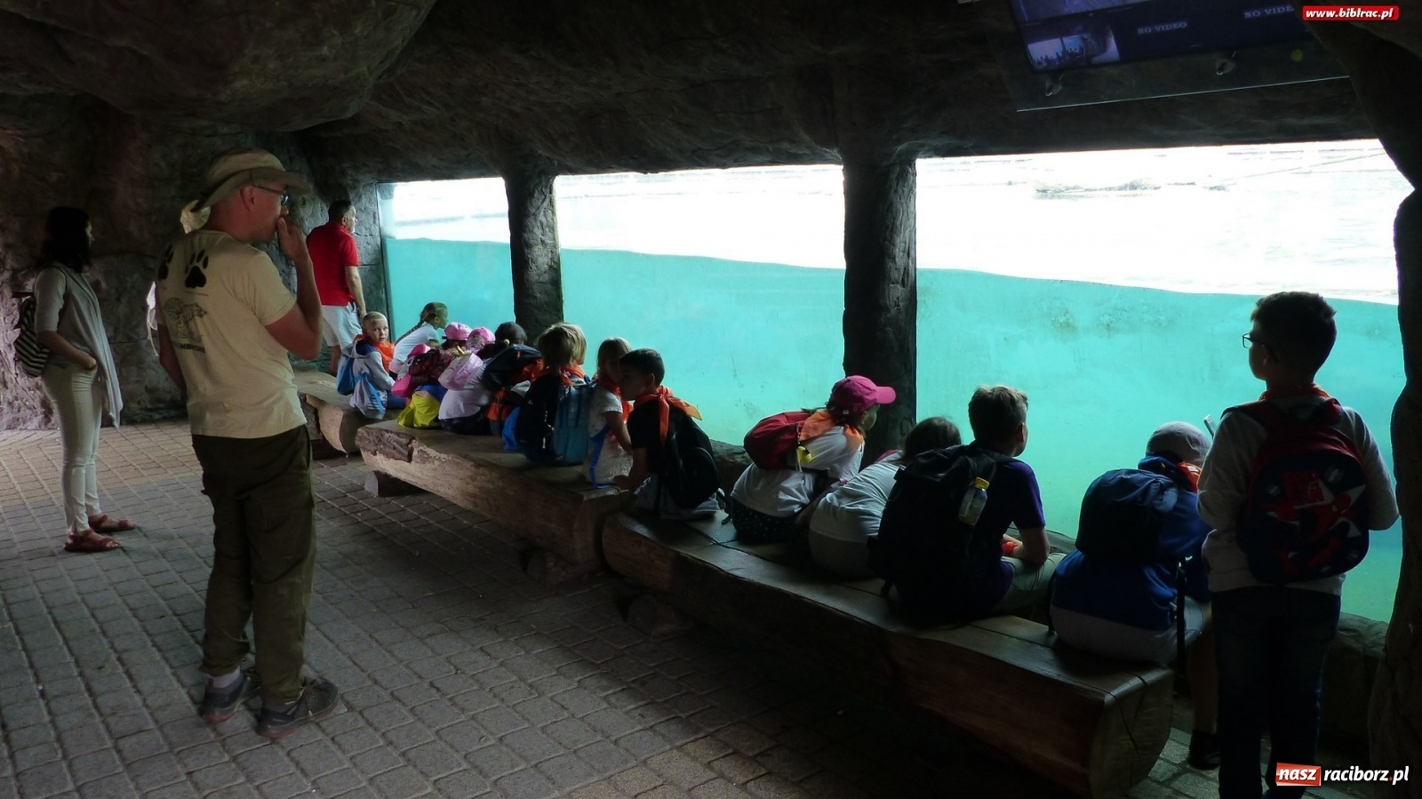 Zdjęcie w galerii na portalu naszraciborz.pl: Młodzi raciborzanie oko w oko z dzikimi zwierzętami wiadomości z regionu