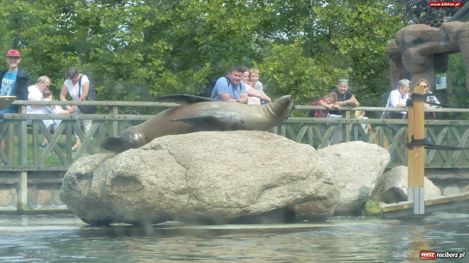 Zdjęcie w galerii na portalu naszraciborz.pl: Młodzi raciborzanie oko w oko z dzikimi zwierzętami wiadomości z regionu