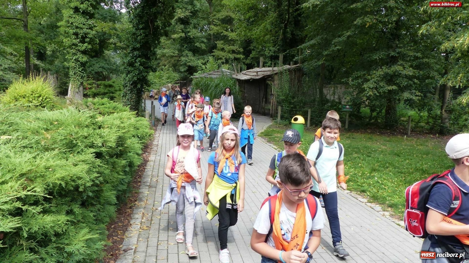 Zdjęcie w galerii na portalu naszraciborz.pl: Młodzi raciborzanie oko w oko z dzikimi zwierzętami wiadomości z regionu