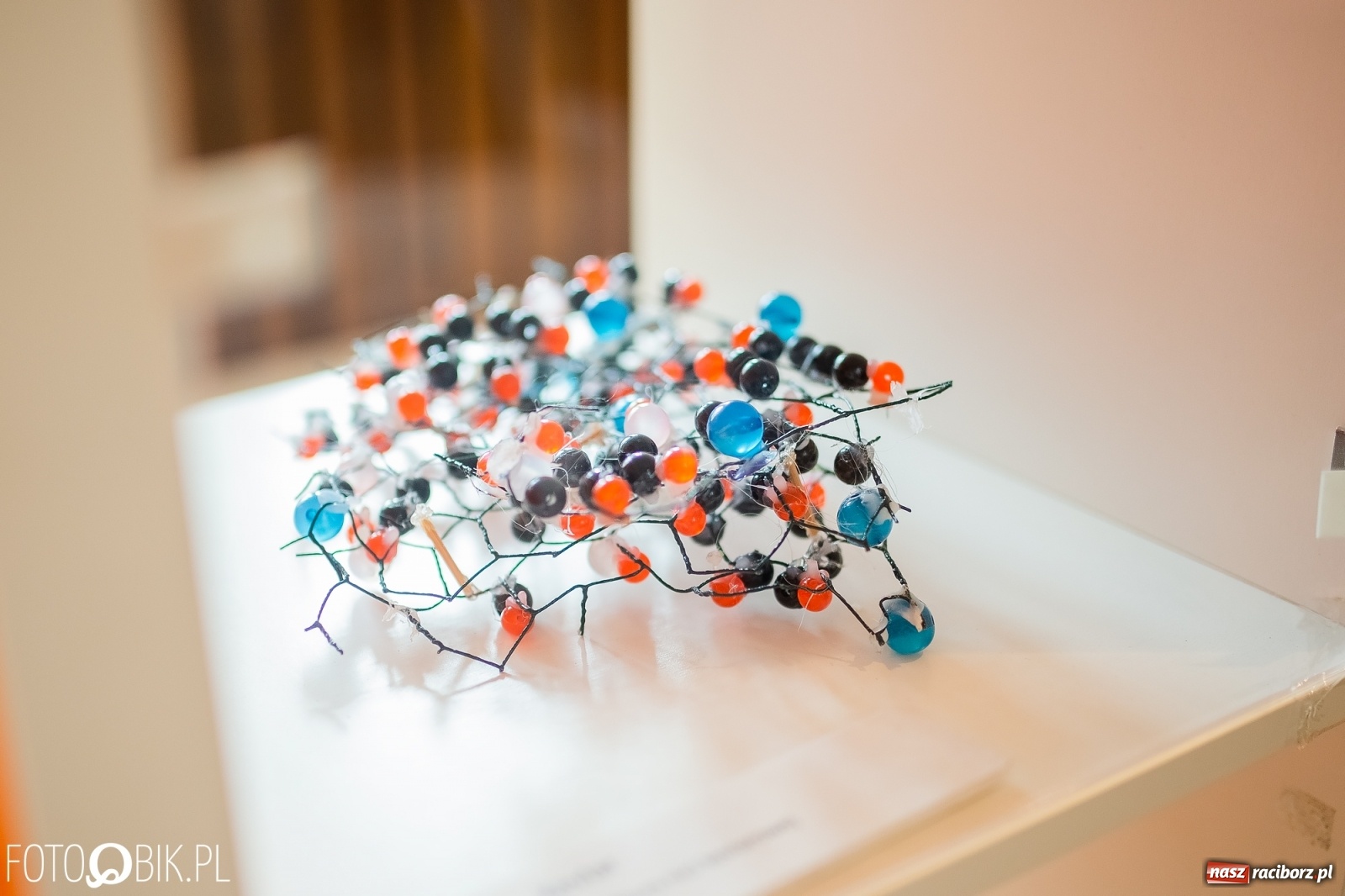 Zdjęcie w galerii na portalu naszraciborz.pl: Z Krakowa do Raciborza. Nanoświat w starym kościele dominikanek wiadomości z regionu