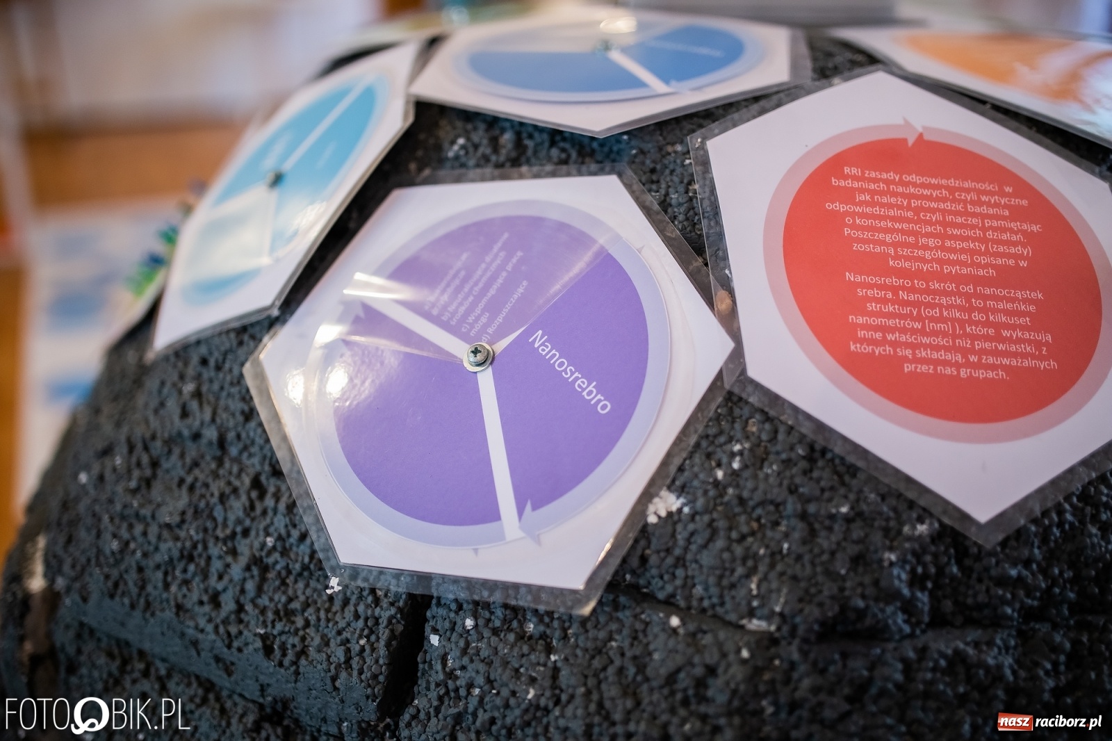 Zdjęcie w galerii na portalu naszraciborz.pl: Z Krakowa do Raciborza. Nanoświat w starym kościele dominikanek wiadomości z regionu