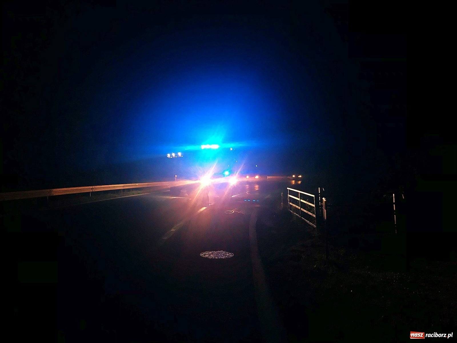 Zdjęcie w galerii na portalu naszraciborz.pl: Próba wzniecenia pożaru w lesie Bismarck w Brzeziu [FOTO i WIDEO] wiadomości z regionu