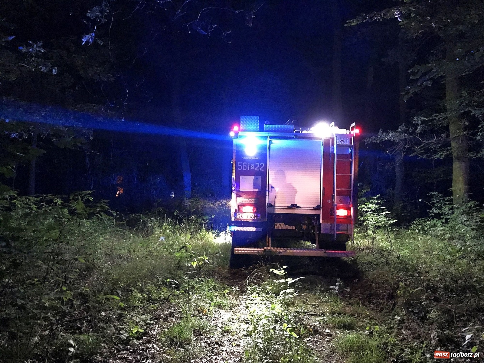 Zdjęcie w galerii na portalu naszraciborz.pl: Próba wzniecenia pożaru w lesie Bismarck w Brzeziu [FOTO i WIDEO] wiadomości z regionu