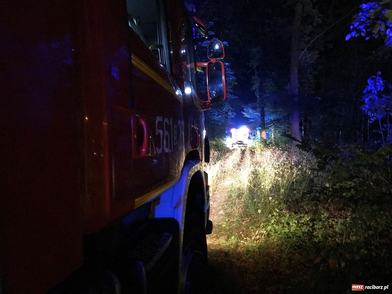 Zdjęcie w galerii na portalu naszraciborz.pl: Próba wzniecenia pożaru w lesie Bismarck w Brzeziu [FOTO i WIDEO] wiadomości z regionu