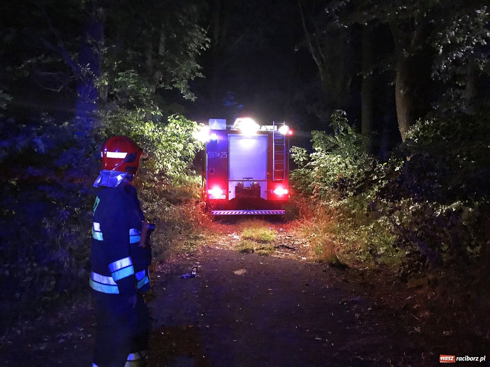 Zdjęcie w galerii na portalu naszraciborz.pl: Próba wzniecenia pożaru w lesie Bismarck w Brzeziu [FOTO i WIDEO] wiadomości z regionu