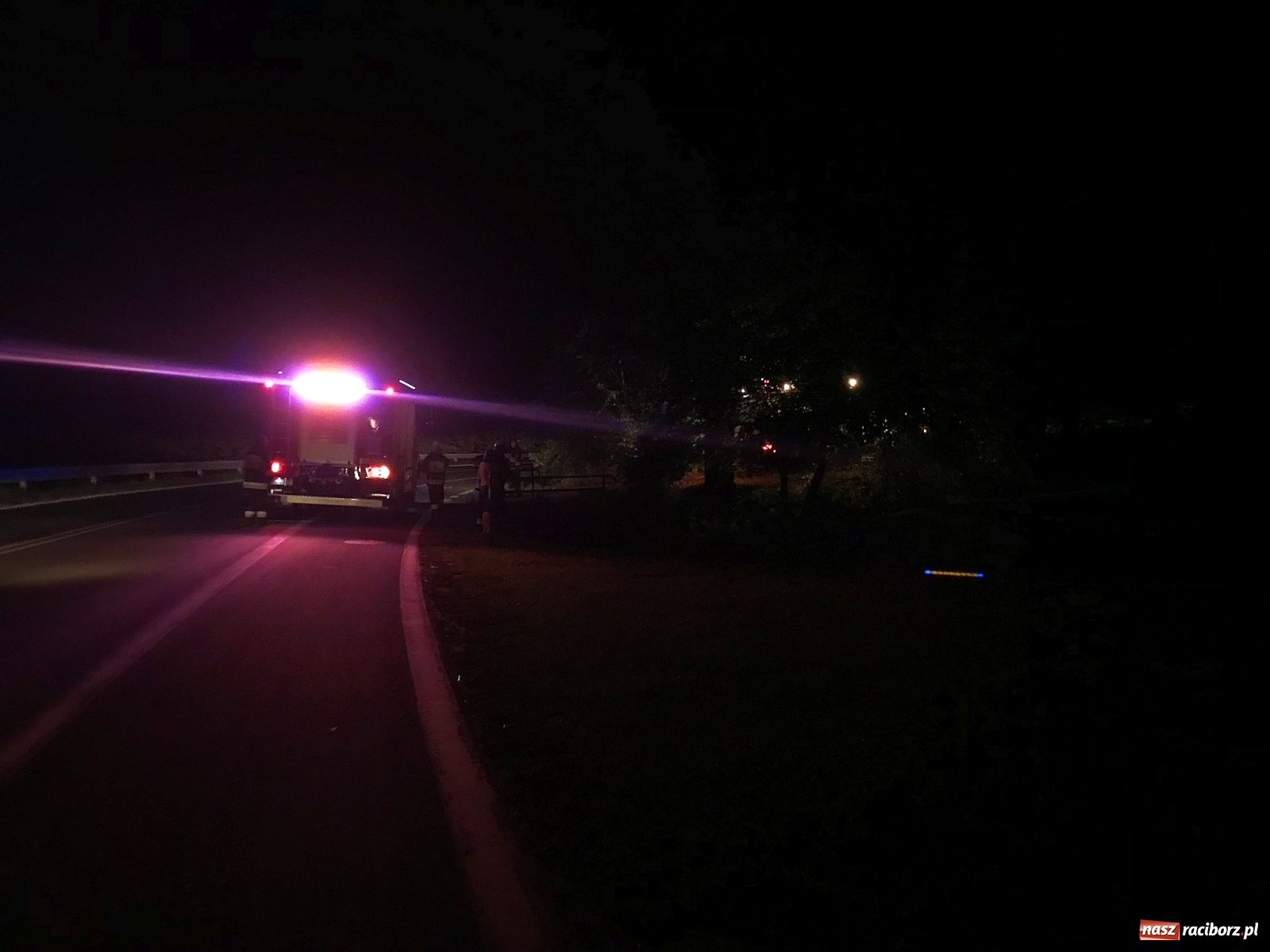 Zdjęcie w galerii na portalu naszraciborz.pl: Próba wzniecenia pożaru w lesie Bismarck w Brzeziu [FOTO i WIDEO] wiadomości z regionu