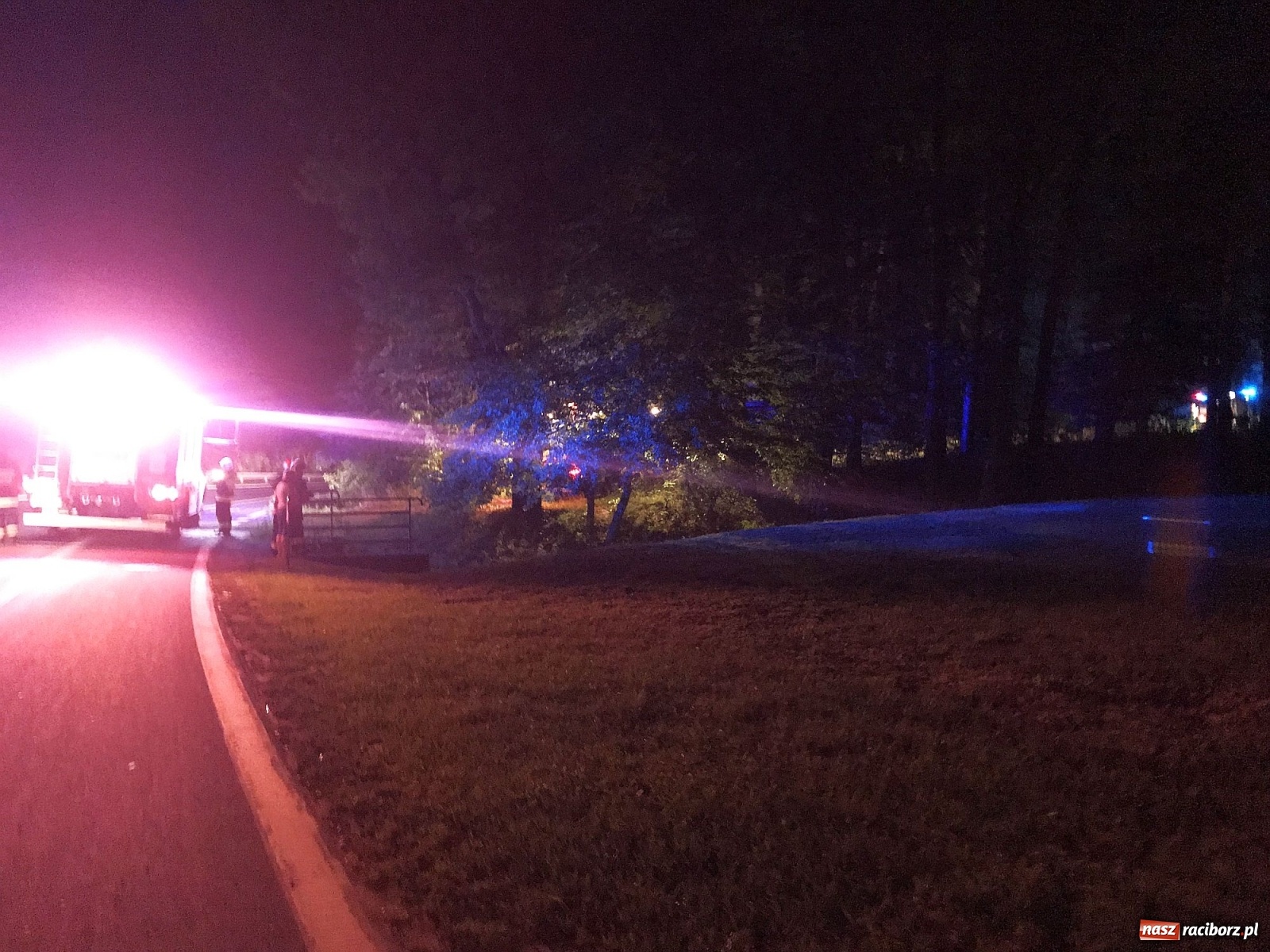 Zdjęcie w galerii na portalu naszraciborz.pl: Próba wzniecenia pożaru w lesie Bismarck w Brzeziu [FOTO i WIDEO] wiadomości z regionu