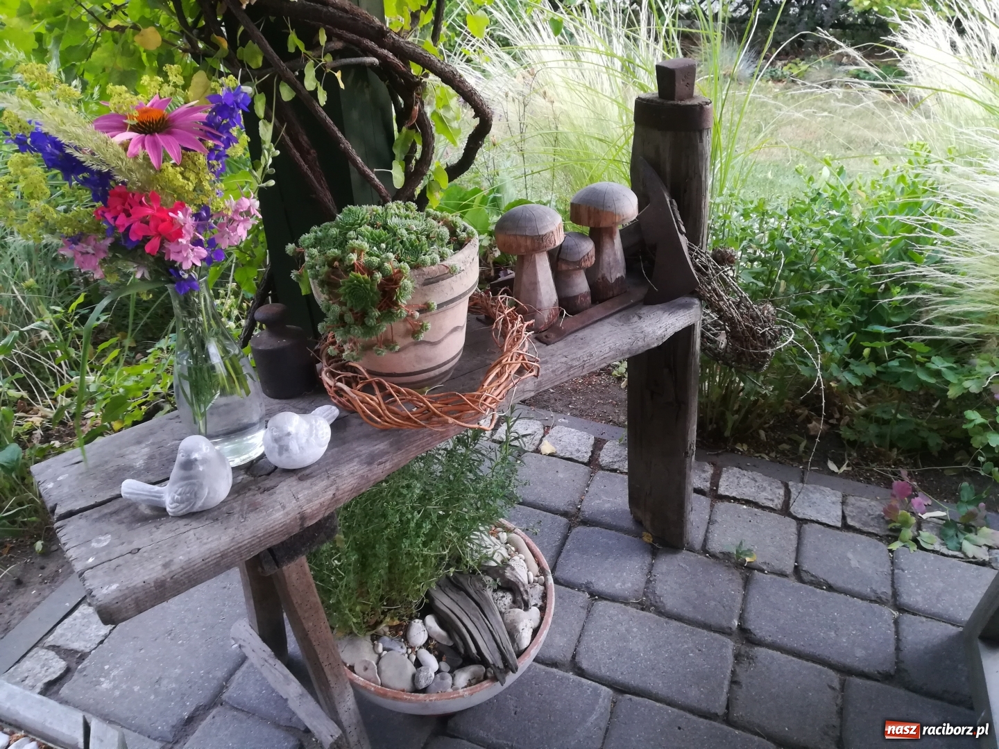 Zdjęcie w galerii na portalu naszraciborz.pl: Zielono mi. Zwycięski taras pani Magdy [FOTO]  wiadomości z regionu