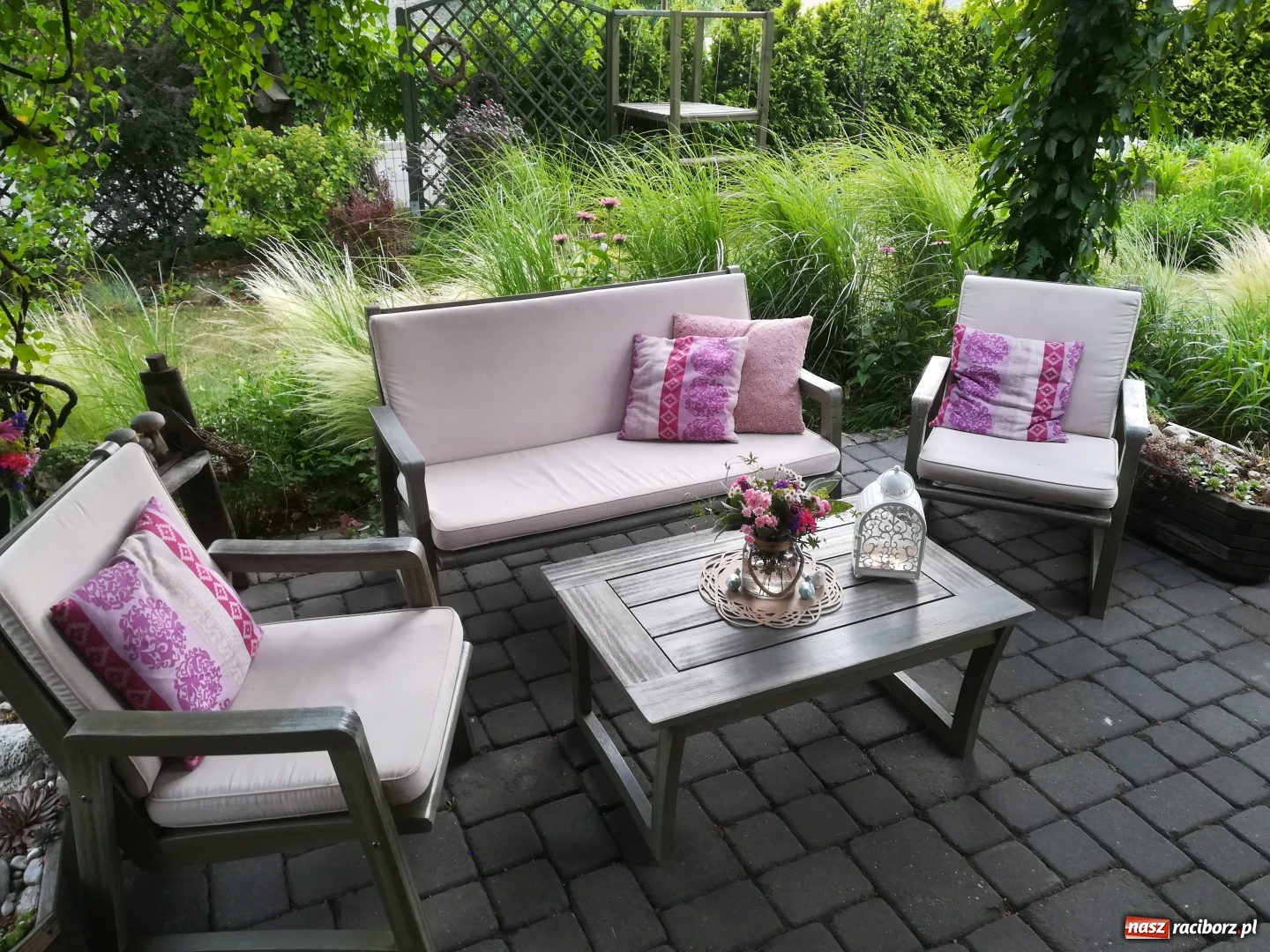 Zdjęcie w galerii na portalu naszraciborz.pl: Zielono mi. Zwycięski taras pani Magdy [FOTO]  wiadomości z regionu