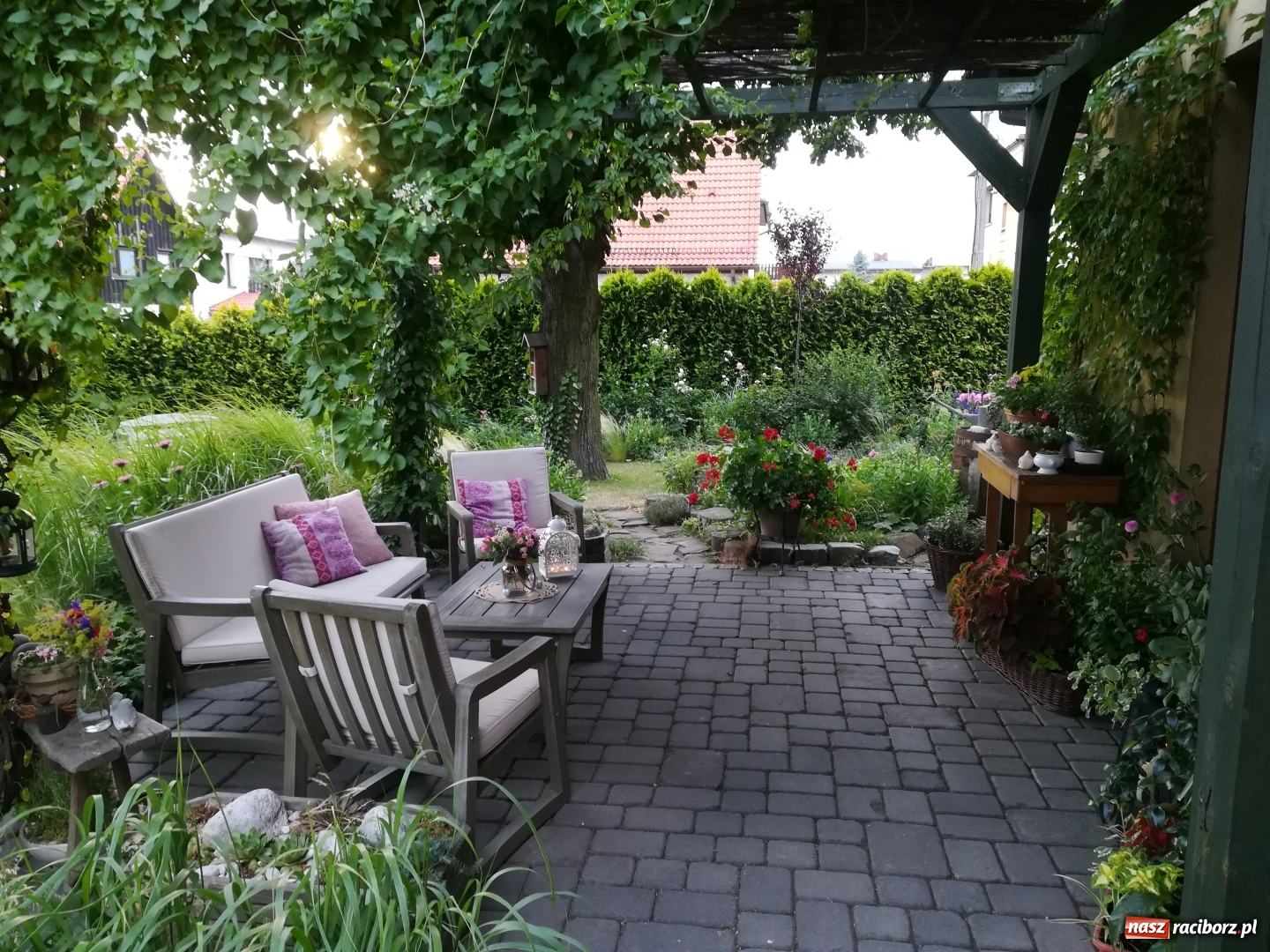 Zdjęcie w galerii na portalu naszraciborz.pl: Zielono mi. Zwycięski taras pani Magdy [FOTO]  wiadomości z regionu