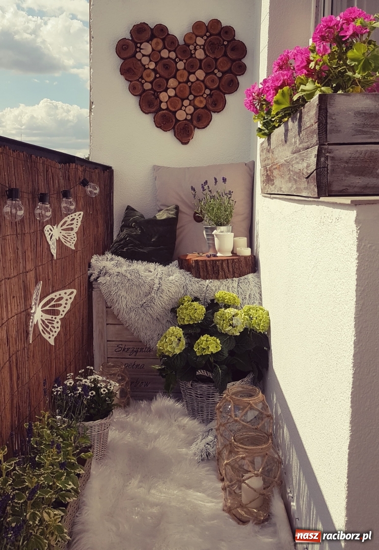 Zdjęcie w galerii na portalu naszraciborz.pl: Przytulny balkon pani Joanny [FOTO]  wiadomości z regionu