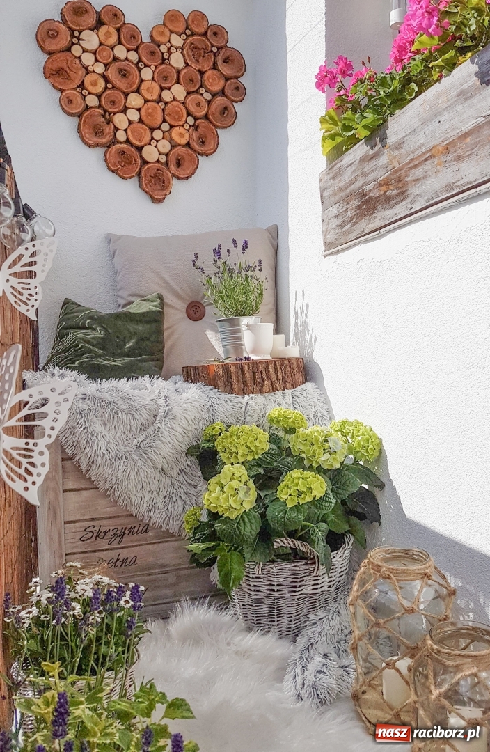 Zdjęcie w galerii na portalu naszraciborz.pl: Przytulny balkon pani Joanny [FOTO]  wiadomości z regionu