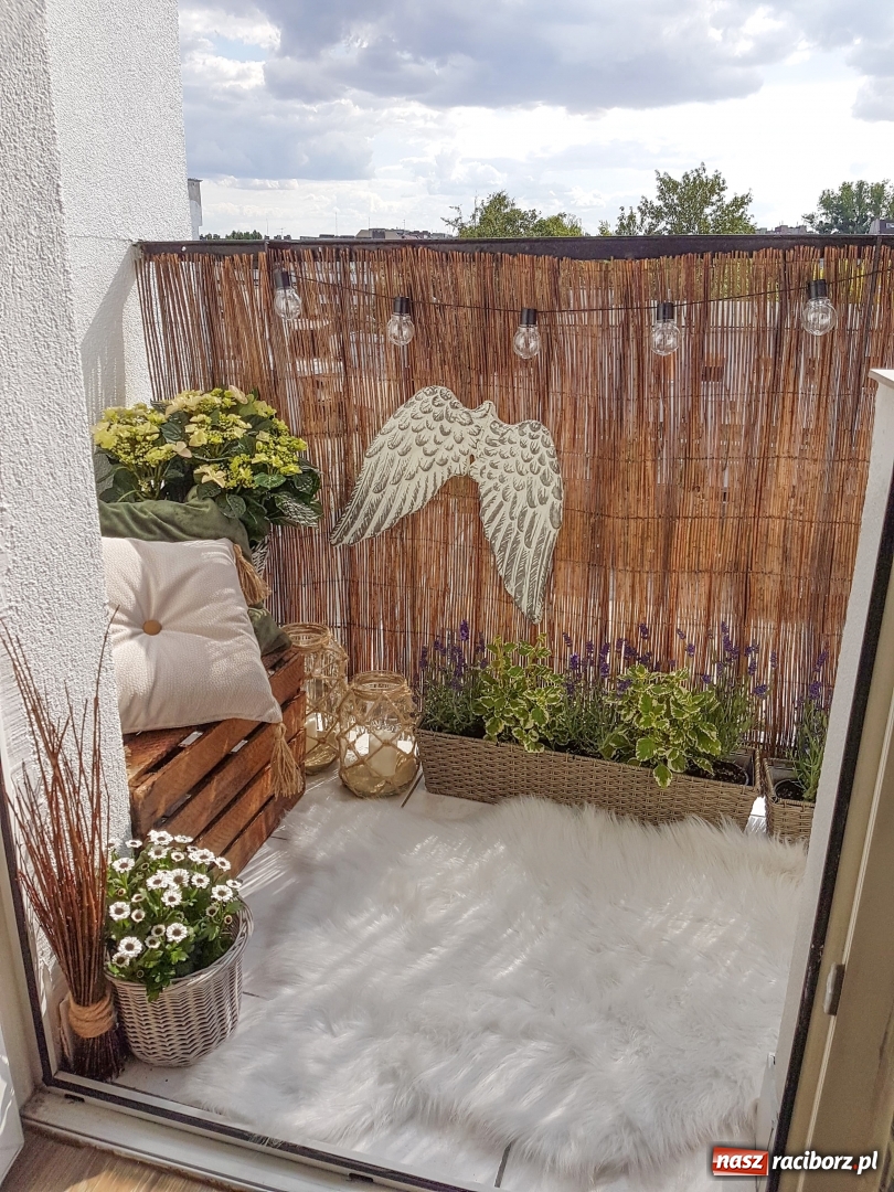 Zdjęcie w galerii na portalu naszraciborz.pl: Przytulny balkon pani Joanny [FOTO]  wiadomości z regionu