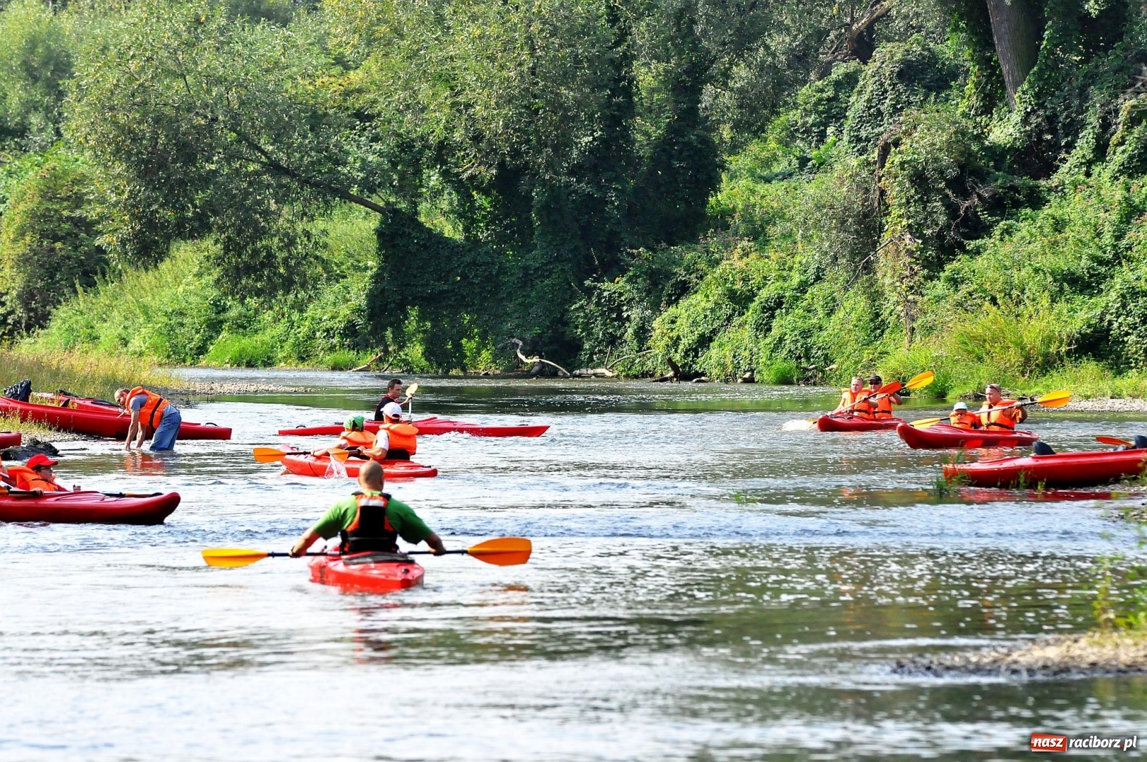 Zdjęcie w galerii na portalu naszraciborz.pl: Raciborskie sprzątanie Odry. W korycie znaleziono pocisk [FOTO i WIDEO]  wiadomości z regionu