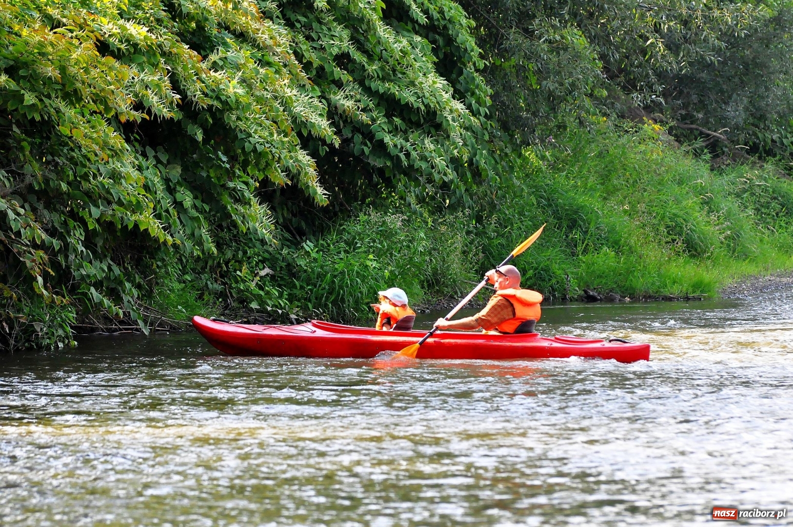 Zdjęcie w galerii na portalu naszraciborz.pl: Raciborskie sprzątanie Odry. W korycie znaleziono pocisk [FOTO i WIDEO]  wiadomości z regionu