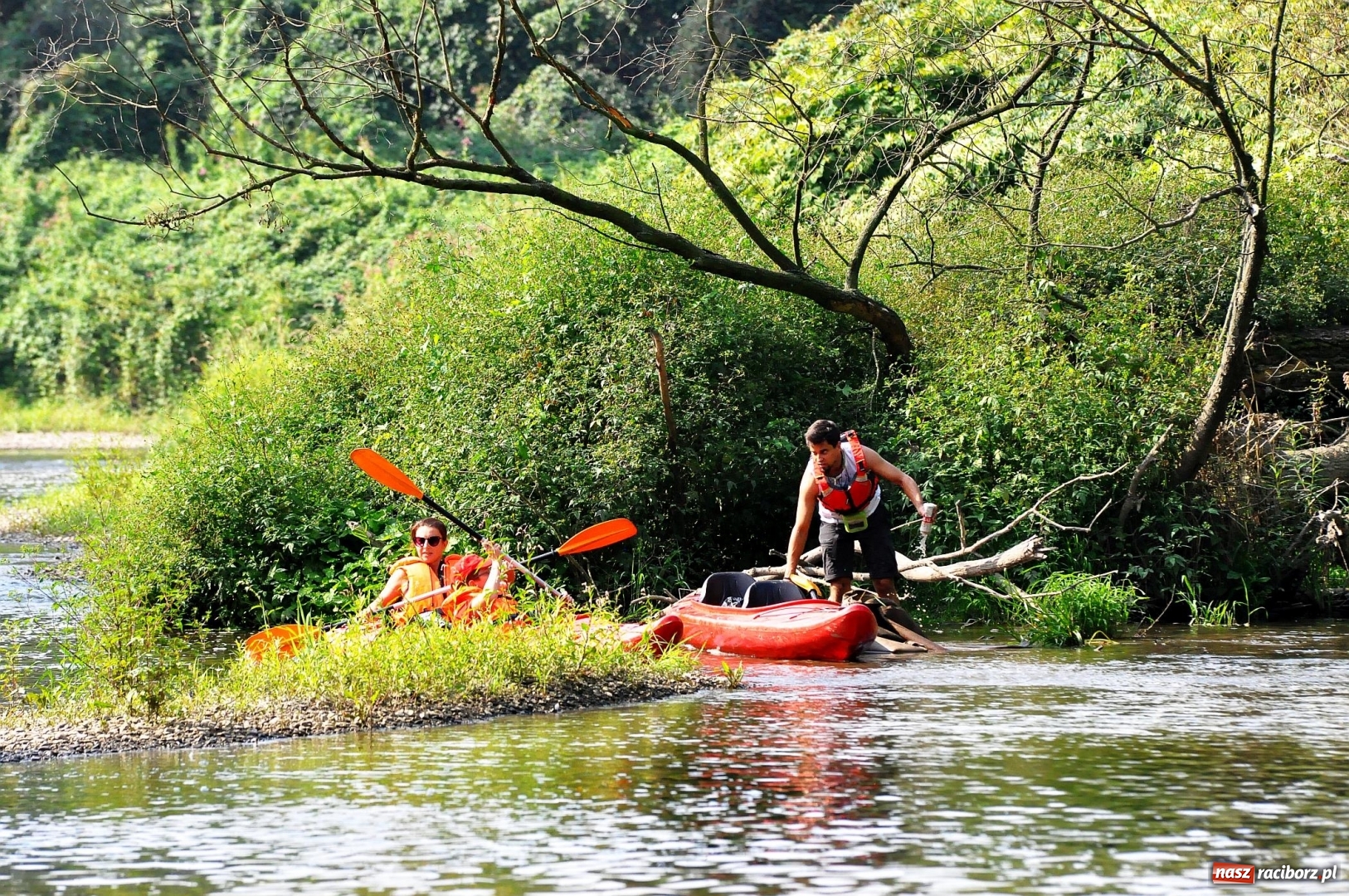 Zdjęcie w galerii na portalu naszraciborz.pl: Raciborskie sprzątanie Odry. W korycie znaleziono pocisk [FOTO i WIDEO]  wiadomości z regionu