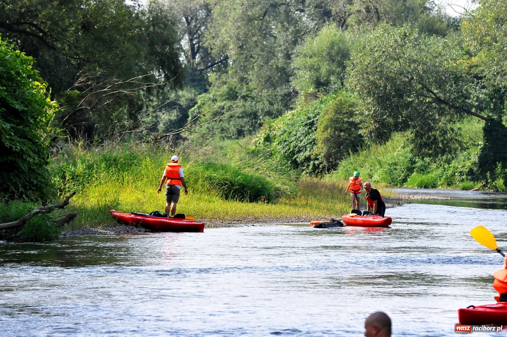 Zdjęcie w galerii na portalu naszraciborz.pl: Raciborskie sprzątanie Odry. W korycie znaleziono pocisk [FOTO i WIDEO]  wiadomości z regionu