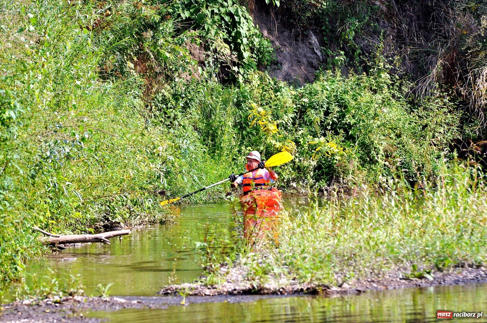 Zdjęcie w galerii na portalu naszraciborz.pl: Raciborskie sprzątanie Odry. W korycie znaleziono pocisk [FOTO i WIDEO]  wiadomości z regionu
