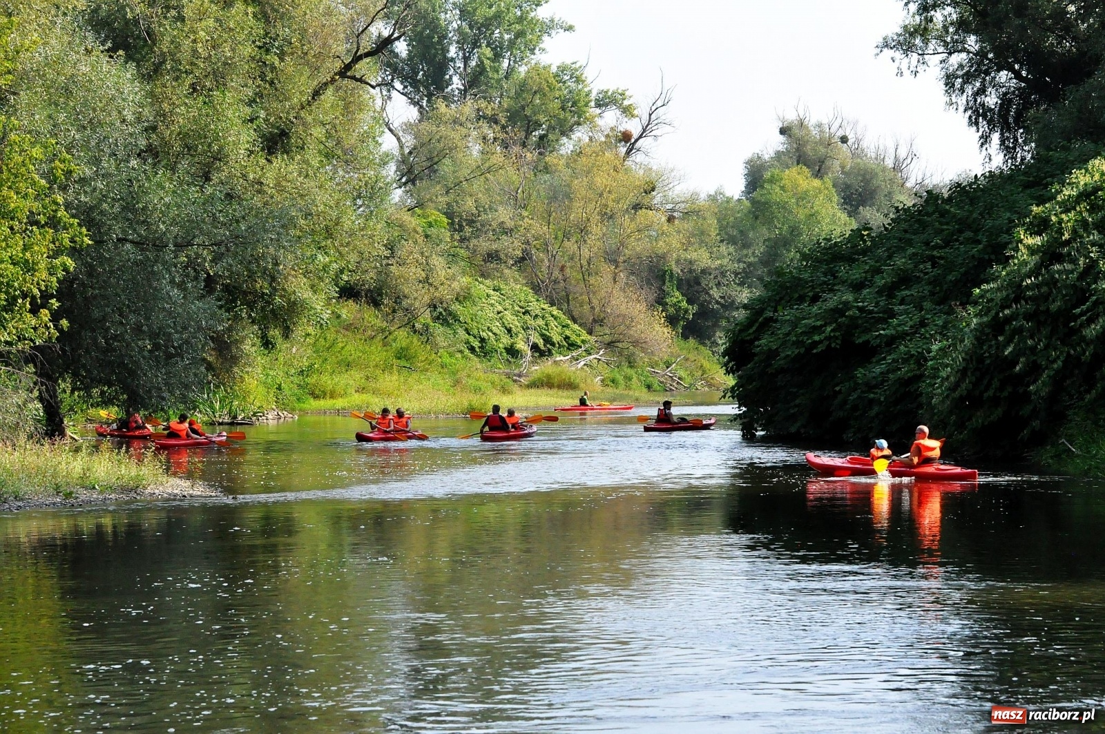 Zdjęcie w galerii na portalu naszraciborz.pl: Raciborskie sprzątanie Odry. W korycie znaleziono pocisk [FOTO i WIDEO]  wiadomości z regionu