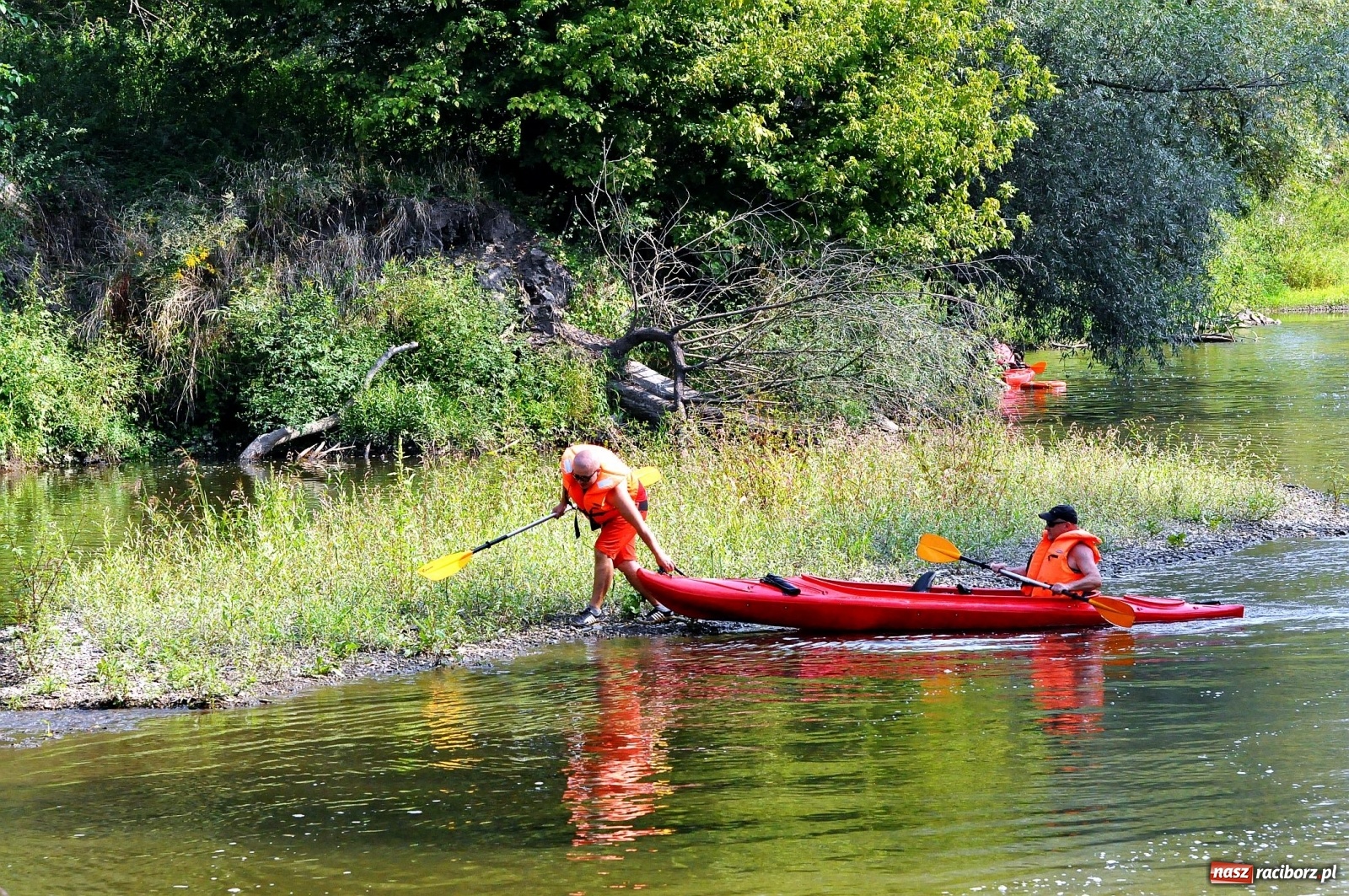Zdjęcie w galerii na portalu naszraciborz.pl: Raciborskie sprzątanie Odry. W korycie znaleziono pocisk [FOTO i WIDEO]  wiadomości z regionu