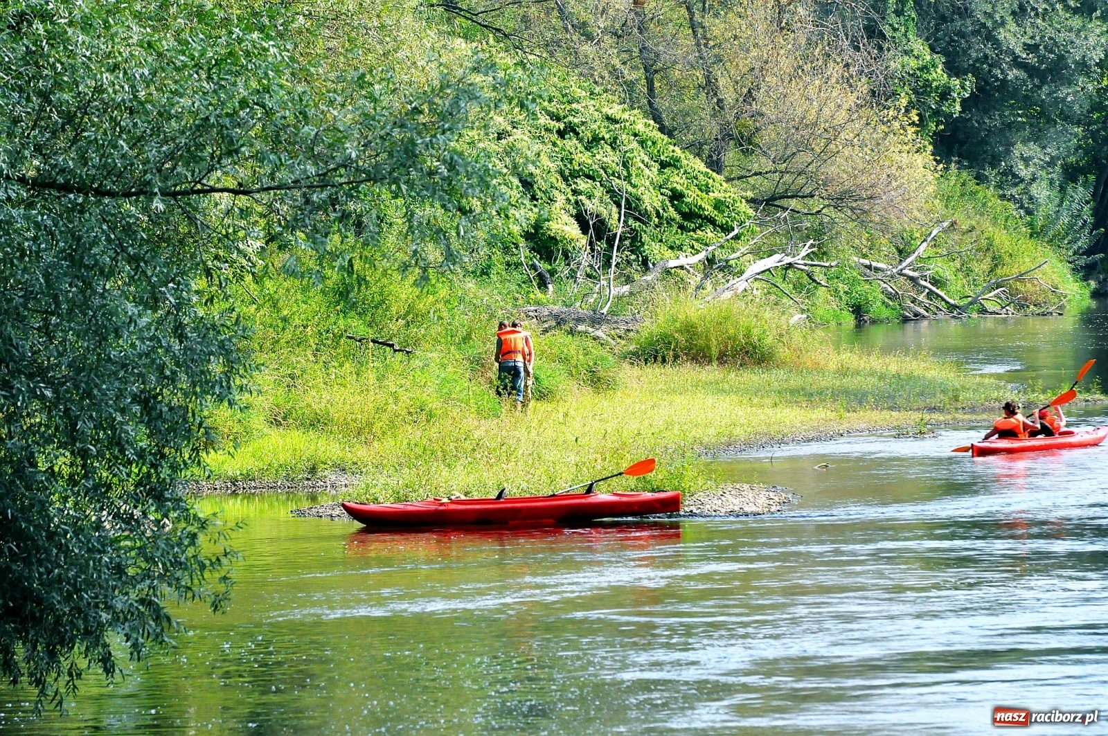 Zdjęcie w galerii na portalu naszraciborz.pl: Raciborskie sprzątanie Odry. W korycie znaleziono pocisk [FOTO i WIDEO]  wiadomości z regionu