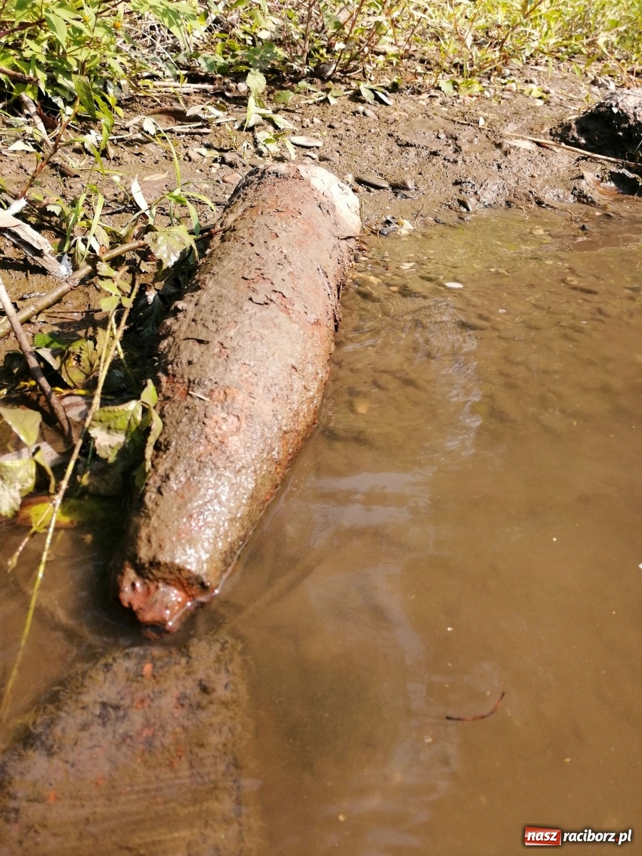 Zdjęcie w galerii na portalu naszraciborz.pl: Organizatorzy Pływadła szukają chętnych do sprzątania Odry wiadomości z regionu