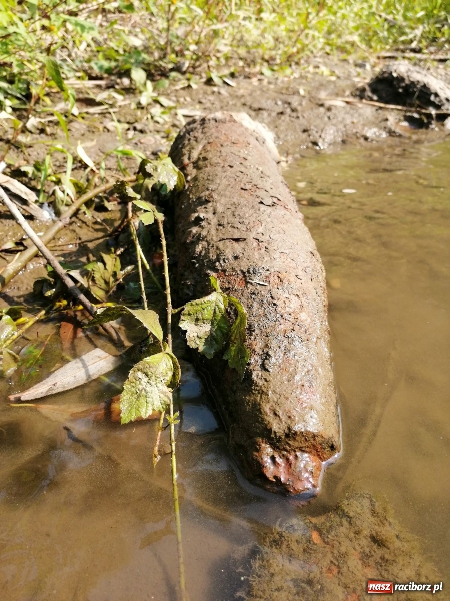 Zdjęcie w galerii na portalu naszraciborz.pl: Organizatorzy Pływadła szukają chętnych do sprzątania Odry wiadomości z regionu