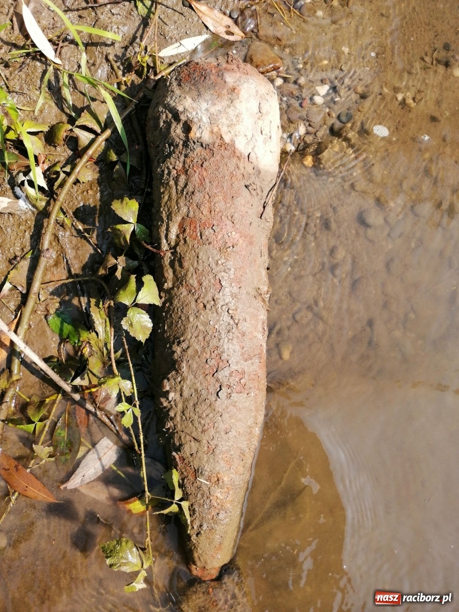 Zdjęcie w galerii na portalu naszraciborz.pl: Organizatorzy Pływadła szukają chętnych do sprzątania Odry wiadomości z regionu