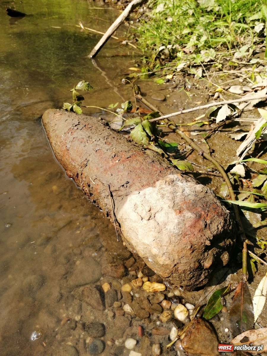 Zdjęcie w galerii na portalu naszraciborz.pl: Organizatorzy Pływadła szukają chętnych do sprzątania Odry wiadomości z regionu