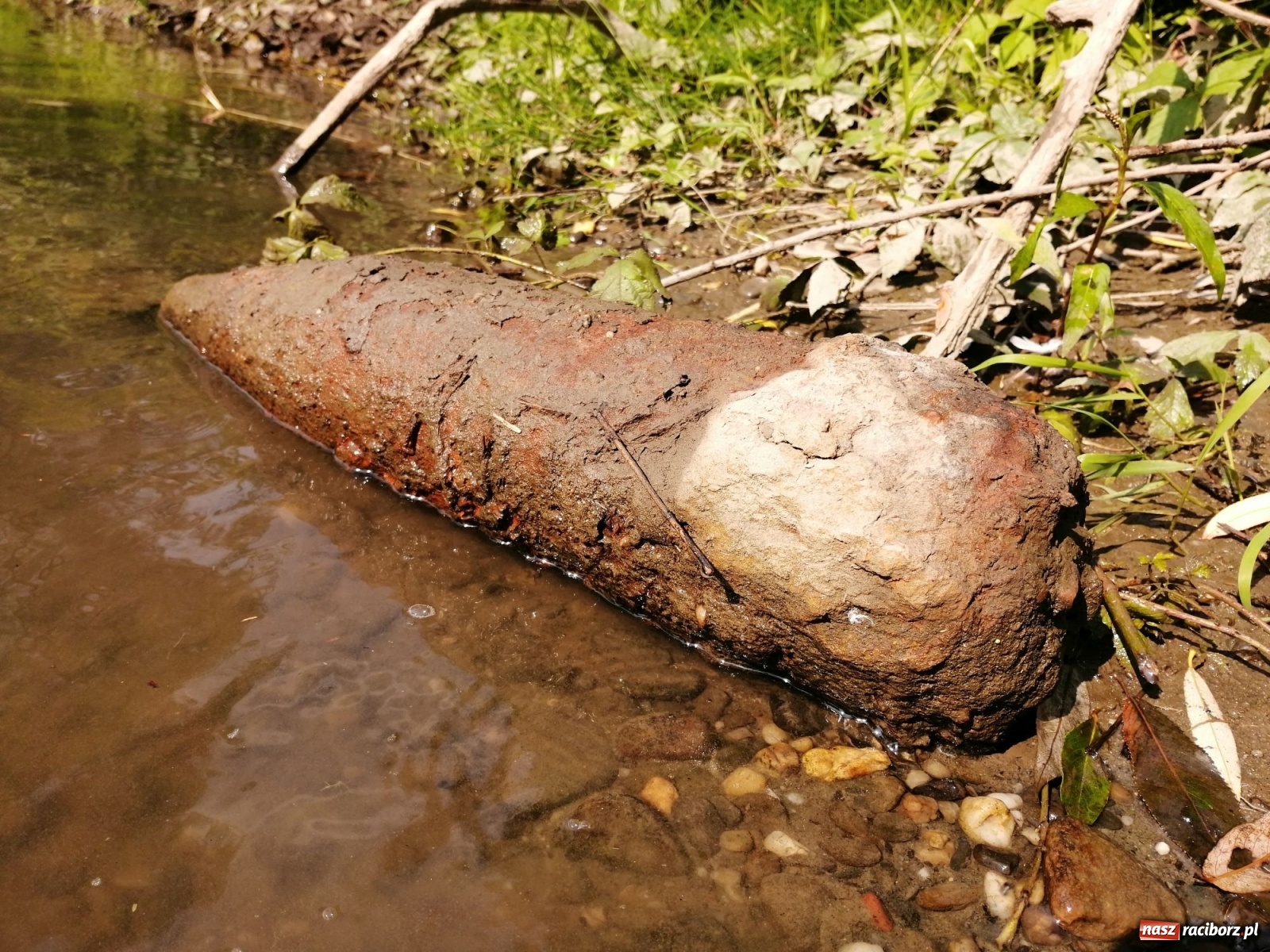 Zdjęcie w galerii na portalu naszraciborz.pl: Organizatorzy Pływadła szukają chętnych do sprzątania Odry wiadomości z regionu