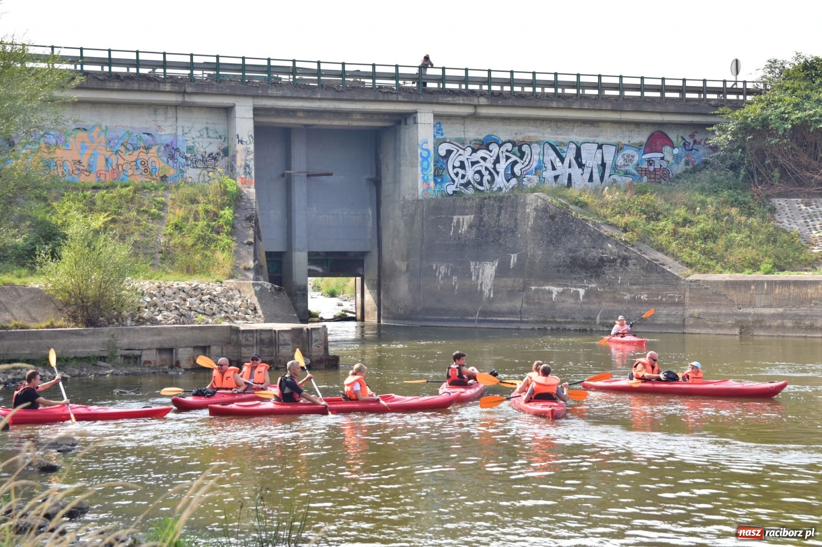 Zdjęcie w galerii na portalu naszraciborz.pl: Organizatorzy Pływadła szukają chętnych do sprzątania Odry wiadomości z regionu