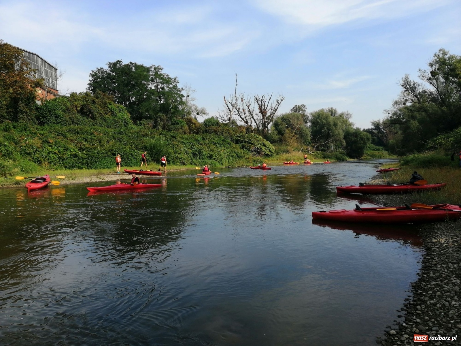 Zdjęcie w galerii na portalu naszraciborz.pl: Organizatorzy Pływadła szukają chętnych do sprzątania Odry wiadomości z regionu