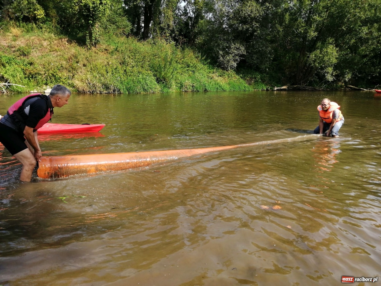 Zdjęcie w galerii na portalu naszraciborz.pl: Organizatorzy Pływadła szukają chętnych do sprzątania Odry wiadomości z regionu